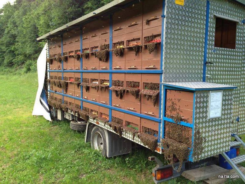 mobile apiary