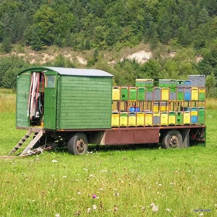 mobile apiary