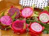 dragonfruit2