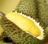 durian