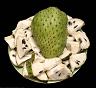 soursop