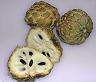 sugarapple