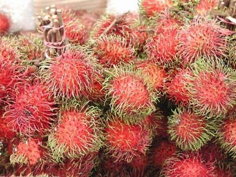 rambutan.jpg