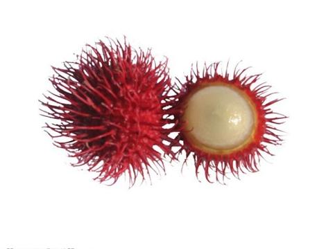 rambutan2.jpg