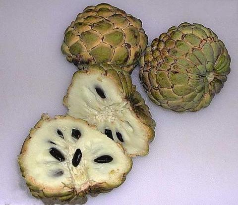 sugarapple.jpg